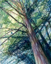 [Landscape Picture]