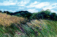 Marcia Falk painting