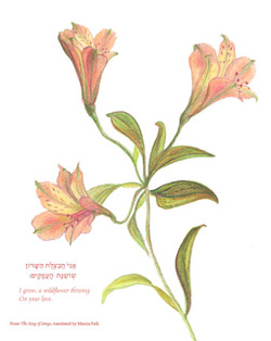 alstroemeria